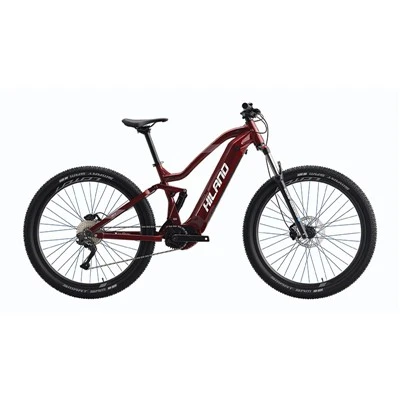 29-tolline SAMSUNG LI-ION aku Mtb E jalgratas