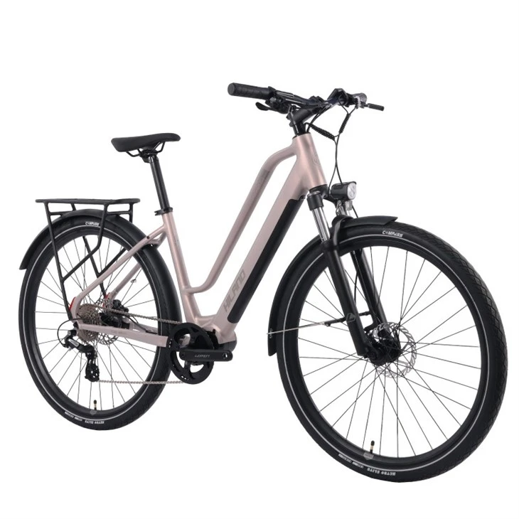 JOYKIE City Electric Bicycle 250W Central Motor E-Bike Urban Commuting Electric Bikes For Adults Med 36V 10ah Battery