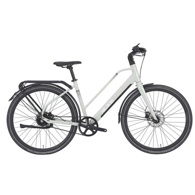 36V360WH ALLOY Road Hog Electric Bike CITY E-BIKE